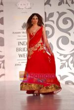 Model walks the ramp for Archana Kocchar at Aamby Valley India Bridal Week day 5 on 2nd Nov 2010 (29).JPG